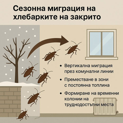 миграция на хлебарки